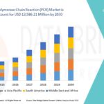 Digital Mining Market Trends, Insights and Future Outlook