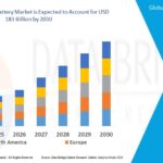 Patch Cable Market Business Shares and Outlook 2032
