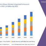 Rice Beer Market: Size, Share, and Growth Forecast to 2031