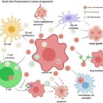 Cell-Free RNA (cfRNA) as A Liquid Biopsy Biomarker for Disease Screening and Diagnosis