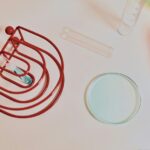 Unlocking the Power of Custom Oligosaccharide Synthesis for Research and Biopharmaceutical Innovation