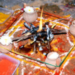 Maha Mrityunjaya Jaap for Cancer & Terminal Illness