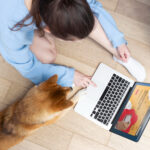 Popular Pet Niches for Guest Posting (Dogs, Cats, Exotic Pets)