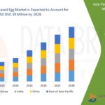 Middle East and Africa Electric Vehicle Heat Shrink Tubing Market Growth Forecast with Competitive Analysis 2029