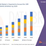 Mobile Satellite Services Market Growth Forecast with Competitive Analysis 2032