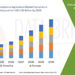 Pure Performance: Innovations in the Whey Protein Concentrates Market