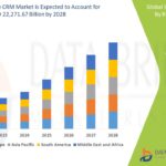 North America Minimally Invasive Market Growth Forecast with Competitive Analysis 2028