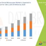 Relief & Recovery: Navigating the Pressure Ulcer Treatment Market