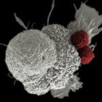 Bridging Science and Scale: Advanced OEM/ODM Solutions for Cosmetic R&D and Commercialization