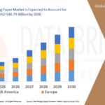 Decorative Cushions, Pillows and Blanket Market Growth with Home Décor Trends, Lifestyle Demand, and Retail Expansion