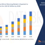 Automotive Display Unit Market Insights and Forecast Projections 2029