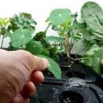 Plastic Additives Market Size, Growth, and Forecast to 2030