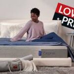 How Quickly Can You Launch Your Own Stake Clone Script?